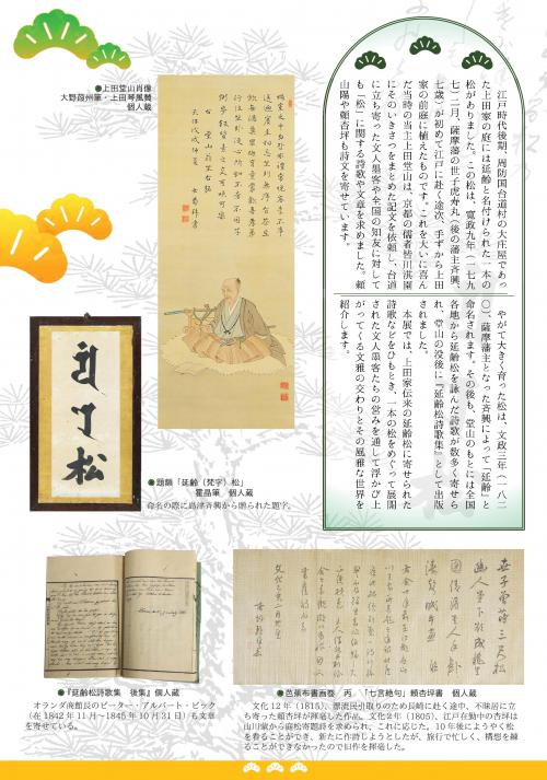 特集展「一本の松をめぐる物語」のチラシ裏面