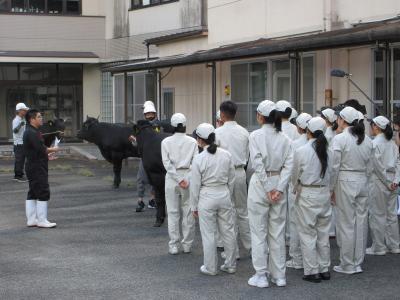 調教の様子を見学している様子