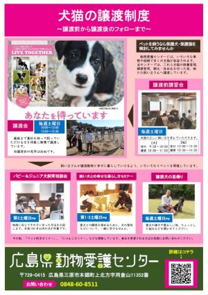 犬猫の譲渡制度サムネ