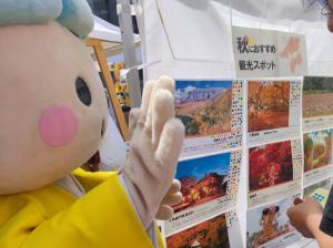たかたん観光パネル展