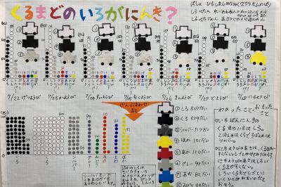 くるまどのいろがにんき？