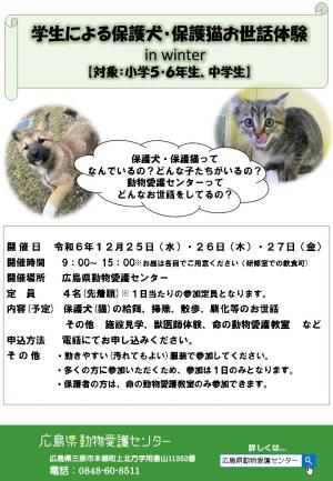 保護犬・保護猫お世話体験（小学5・6年生、中学生対象）