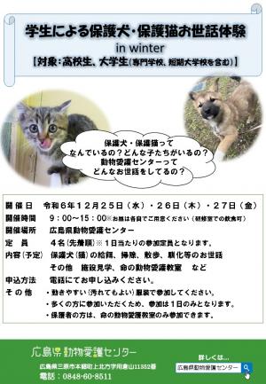 保護犬・保護猫お世話体験（高校生、大学生対象）