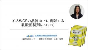 イネWCSの品質向上に貢献する乳酸菌製剤について