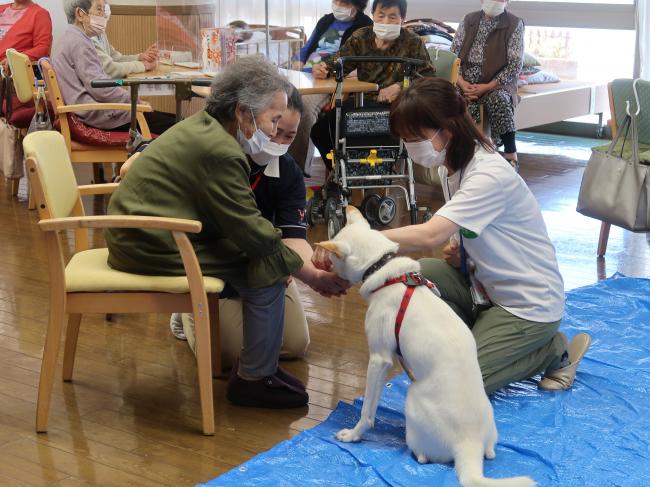 介在４