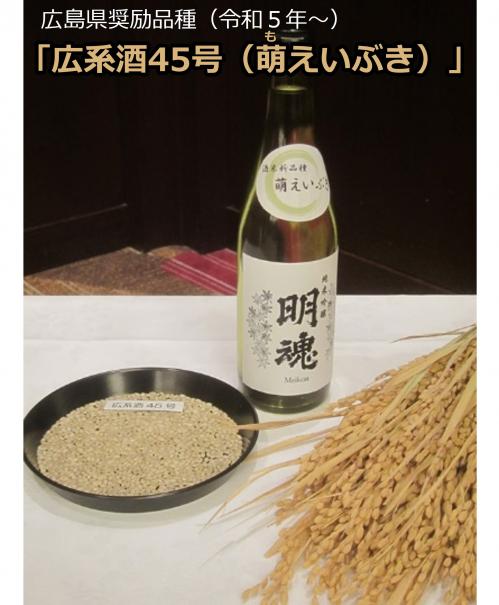 広島県の奨励品種「広系酒45号（萌えいぶき）」