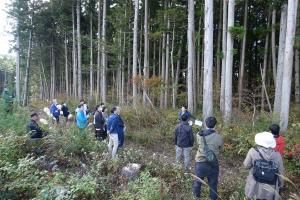 森林の視察