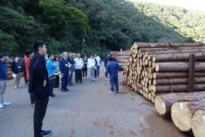 原木市場視察風景
