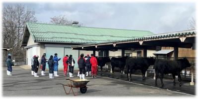 直接検定中の様子（種雄牛舎）