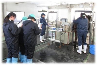 採卵見学中の様子