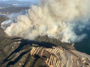 上空からの写真