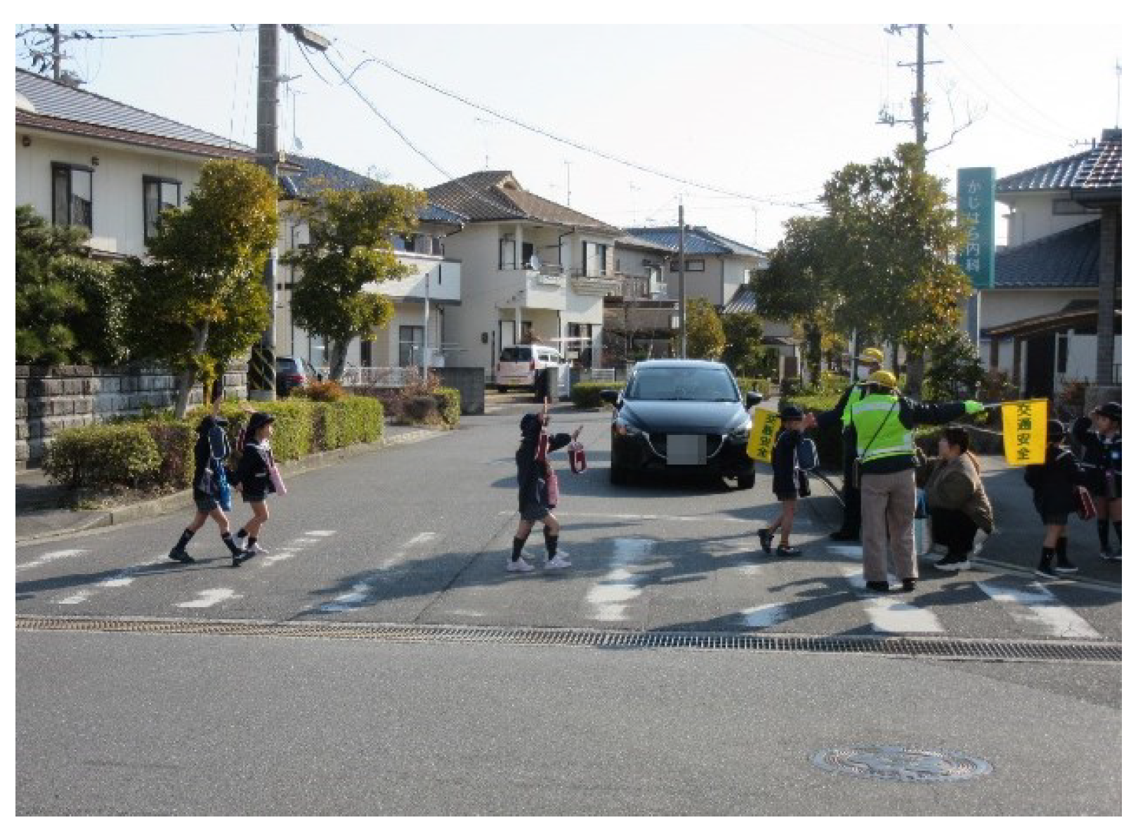 横断歩道を渡る様子