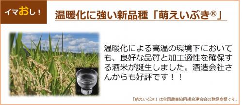 萌えいぶきのバナー