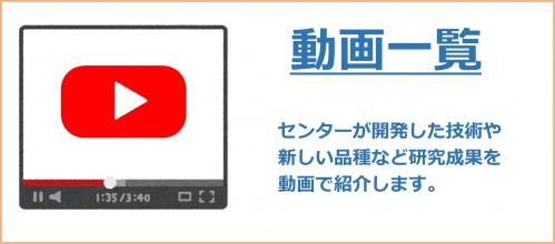 動画一覧のバナー