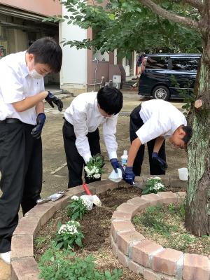 生徒による花苗の植付