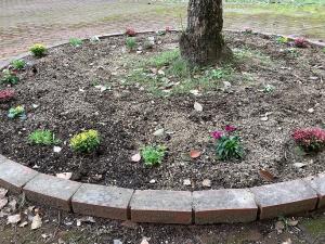 新たに整備した花壇