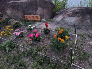 整備後の花壇の様子