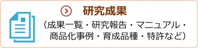 研究成果