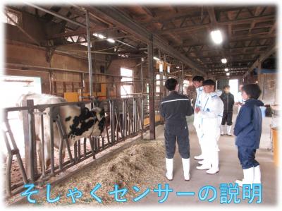 咀嚼センサーについて研究員が説明している様子