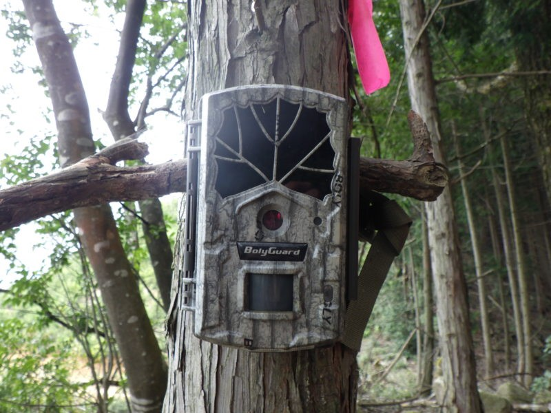 センサーカメラ