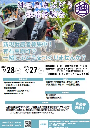 チラシ写真