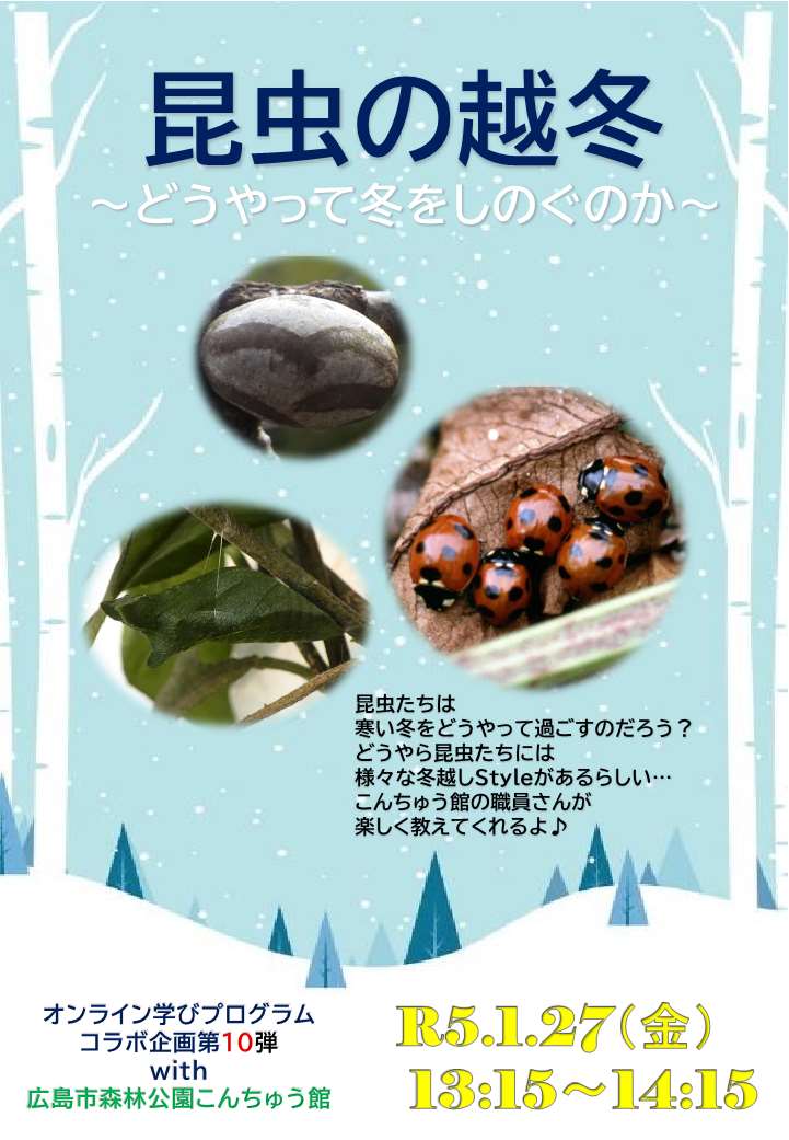 昆虫の越冬～どうやって冬をしのぐのか～