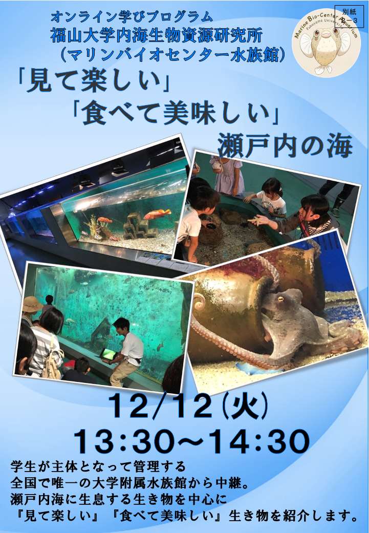 『見て楽しい』『食べて美味しい』瀬戸内の海
