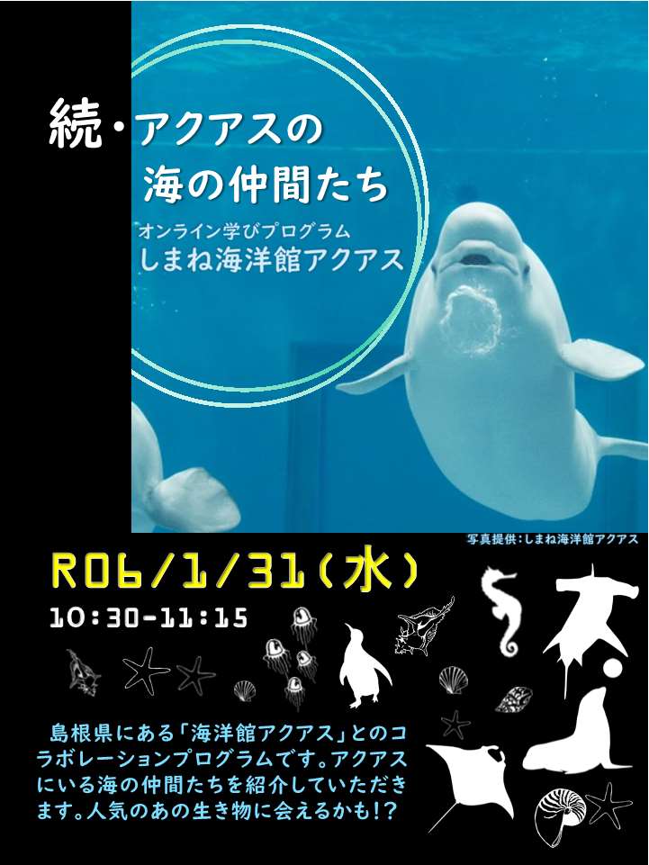続・アクアスの海の仲間たち​