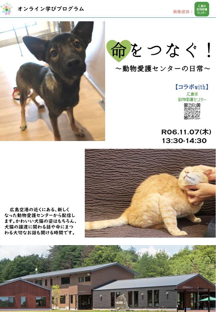  命をつなぐ！～動物愛護センターの日常～​​​​