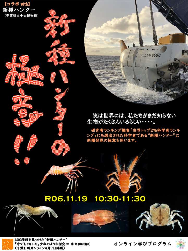  新種ハンターの極意！！​
