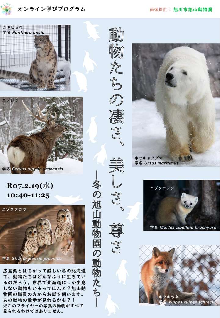 凄さ、美しさ、尊さ　－冬の旭山動物園の動物たち