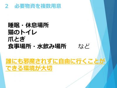 にゃんこセミナー