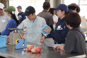 トマトの袋詰め