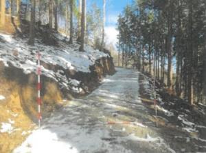 作業道開設・施業後(北広島町)