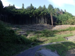 里山林整備・整備後(安芸太田町)