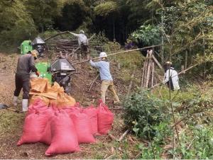 住民団体による森林整備活動の様子(福山市)