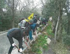 登山道へ植栽を行う様子(東広島市)