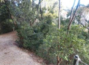 地域資源保全活用支援事業・整備前(尾道市)