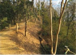 地域資源保全活用支援事業・整備後(尾道市)