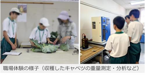 職場体験の様子