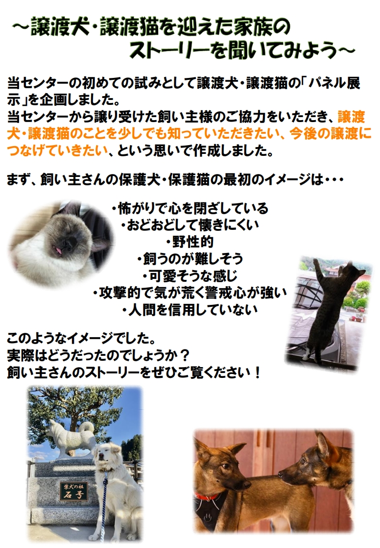 家族のストーリー