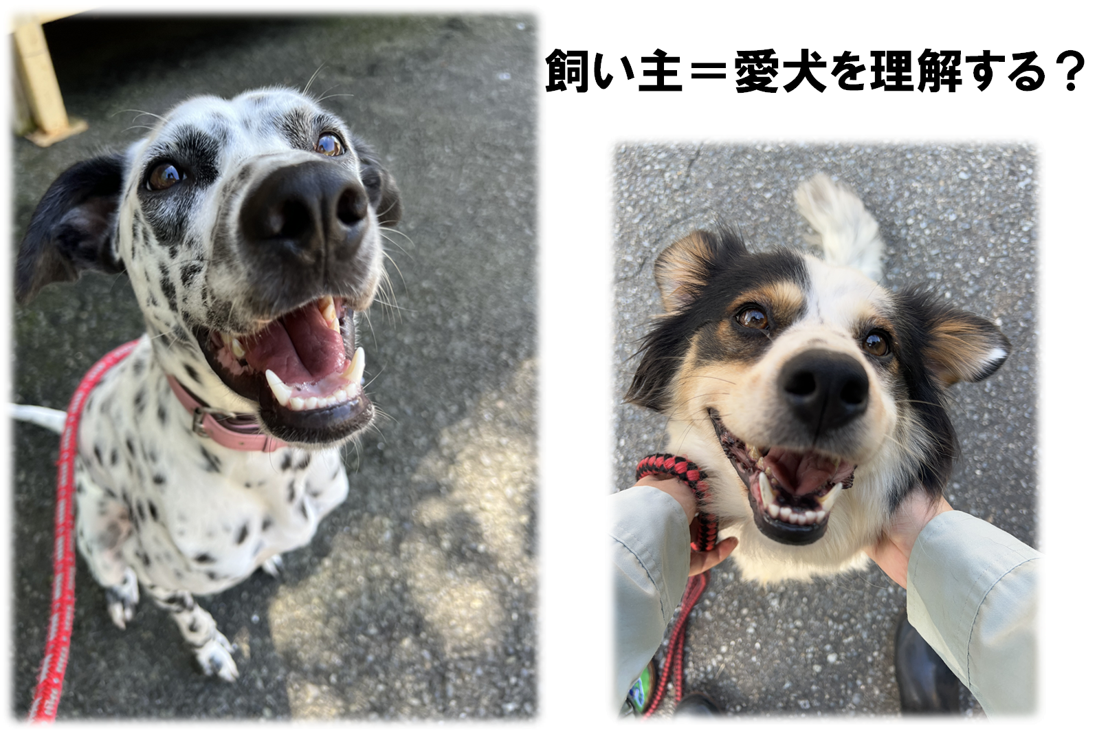 暮らし方セミナー