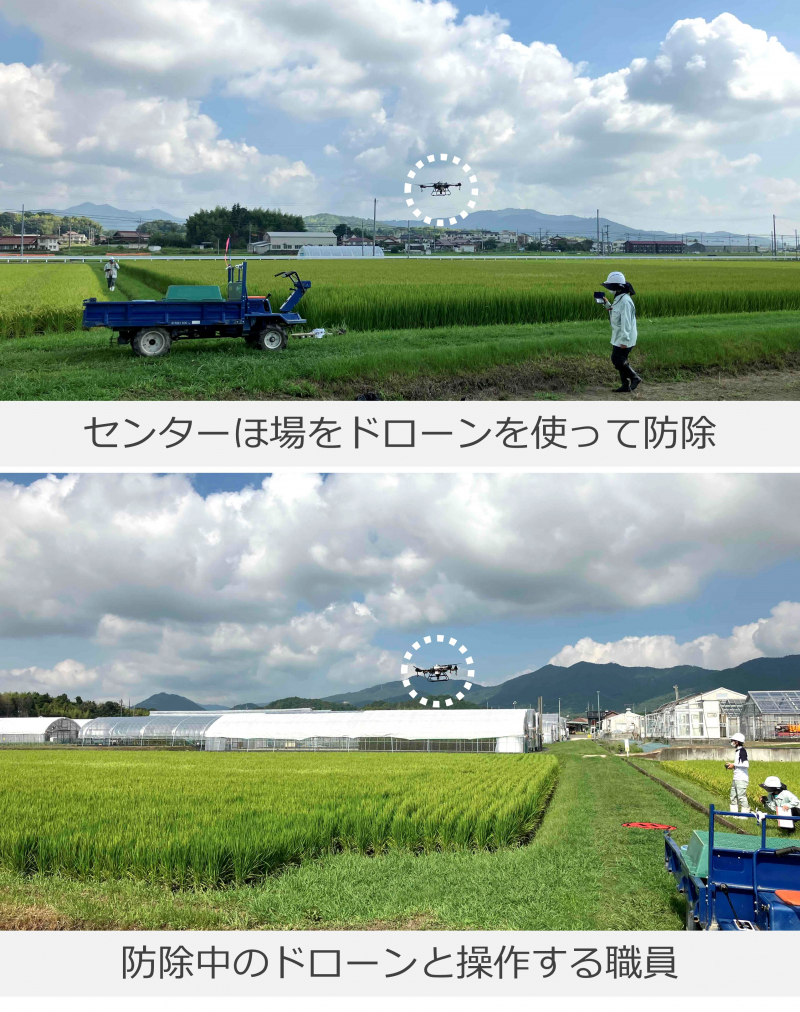 ほ場でドローン防除している写真
