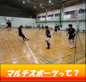 マルチスポーツ