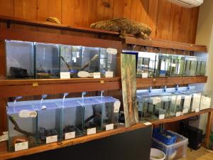 ビジターセンター