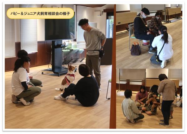 パピー&ジュニア犬飼育相談会の様子