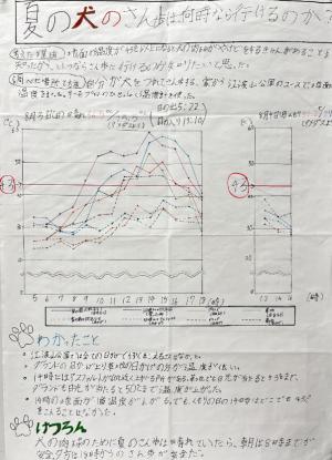 夏の犬のさん歩は、何時なら行けるのか？