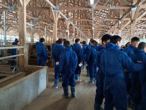 津野山畜産公社