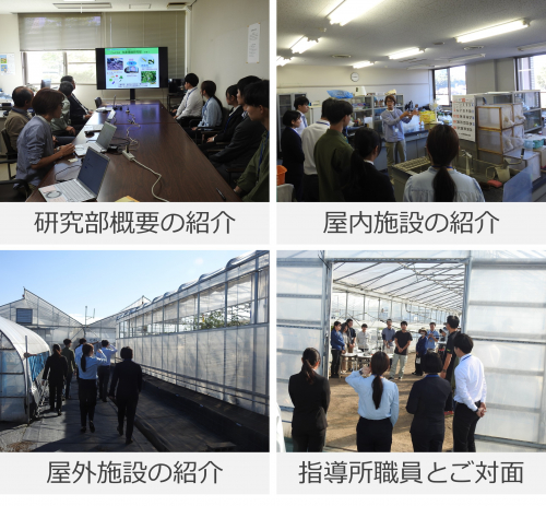 職場紹介の様子の写真