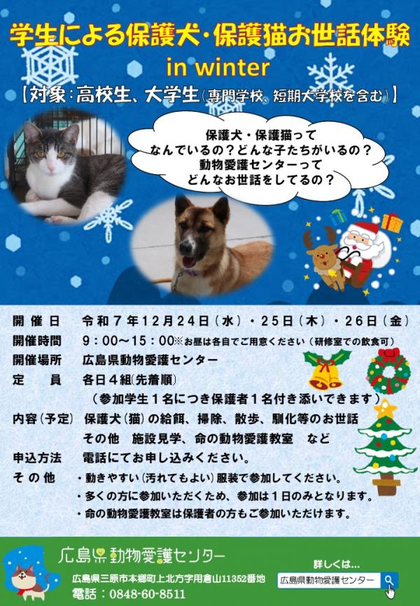 高校大学生の部リーフレット